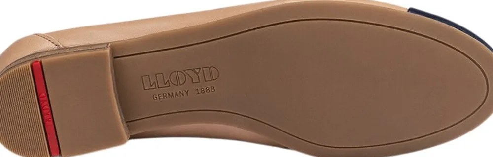 06442001>Lloyd Sale