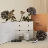 Dately Adventskalender - Intimitet & Nærvær Sale