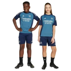 adidas ARSENAL TR SHORTS Blå New
