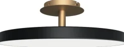 UMAGE Asteria Up Outlet