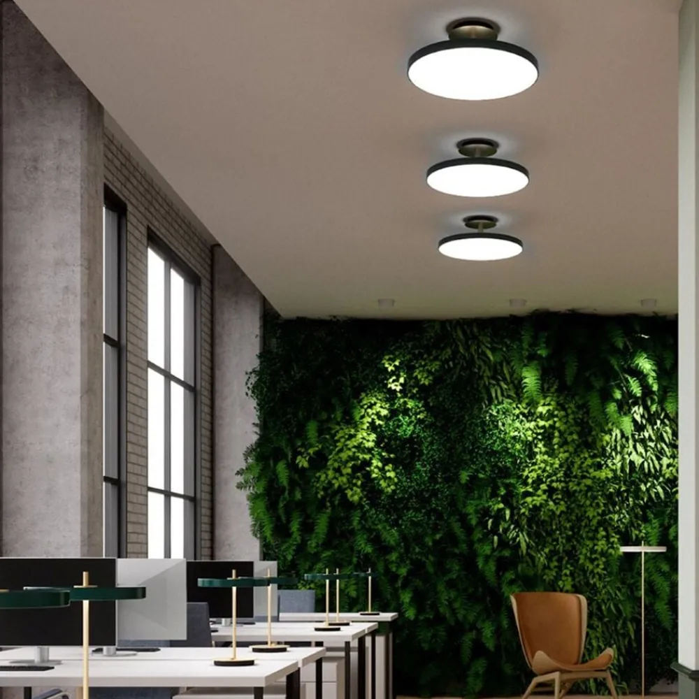 UMAGE Asteria Up Outlet