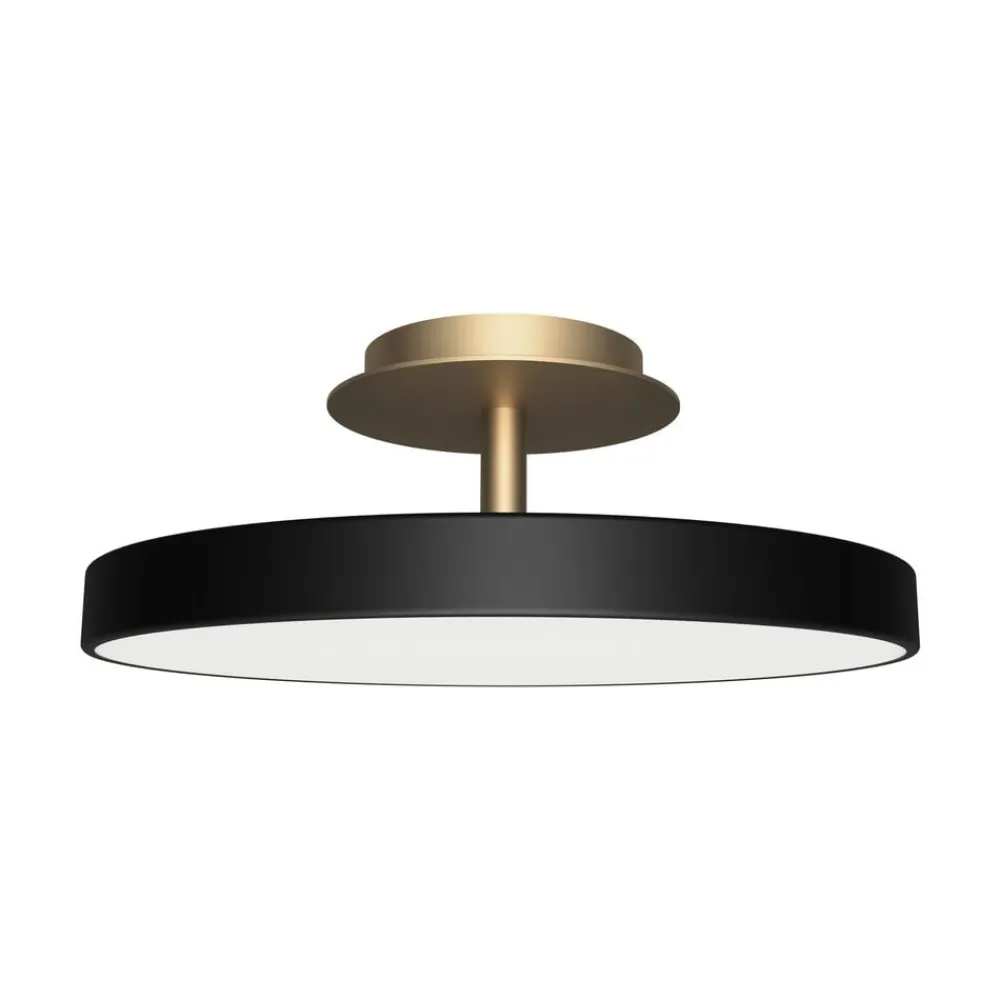 UMAGE Asteria Up Plus