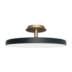 UMAGE Asteria Up Plus