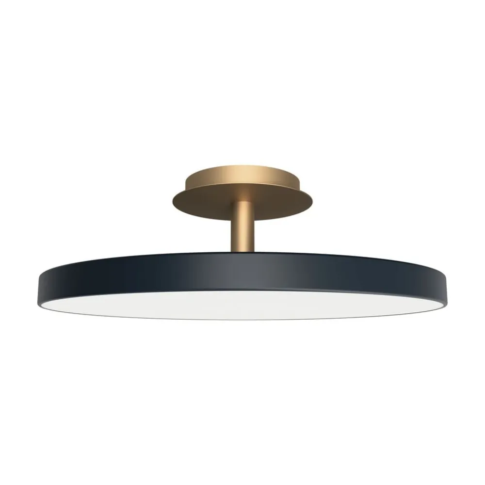 UMAGE Asteria Up Plus