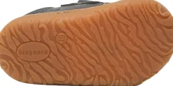 Bisgaard hale v 2014 Best