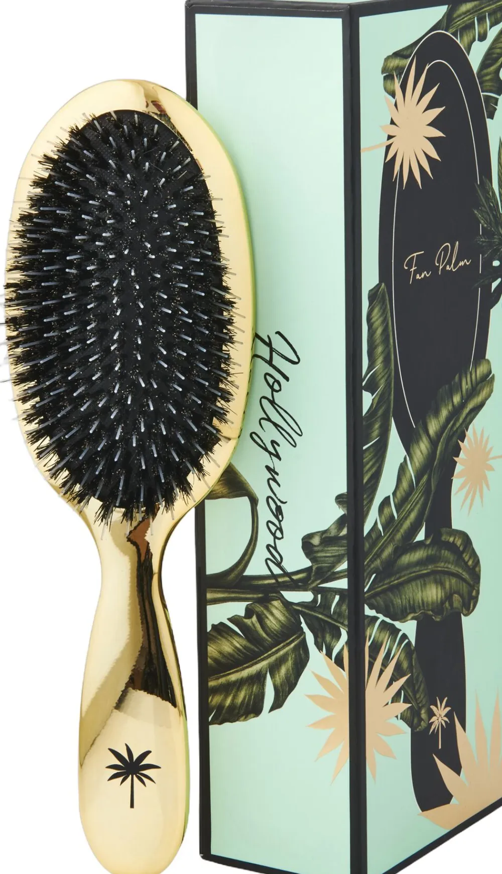 Fan Palm Boar- & Nylon Brush Hollywood medium Outlet
