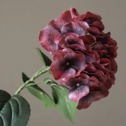 Botané Burgundy Hydrangea Flower Online