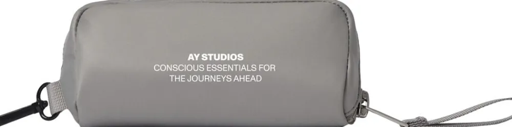 AY Studios Case Silver Discount