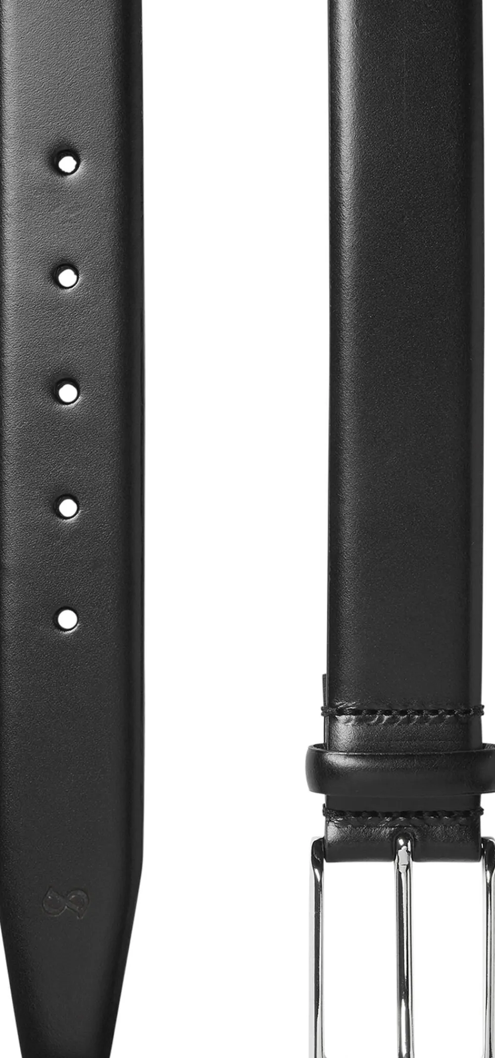 Saddler Cederlund