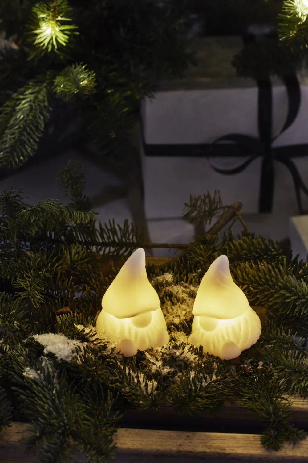 Sirius Coco