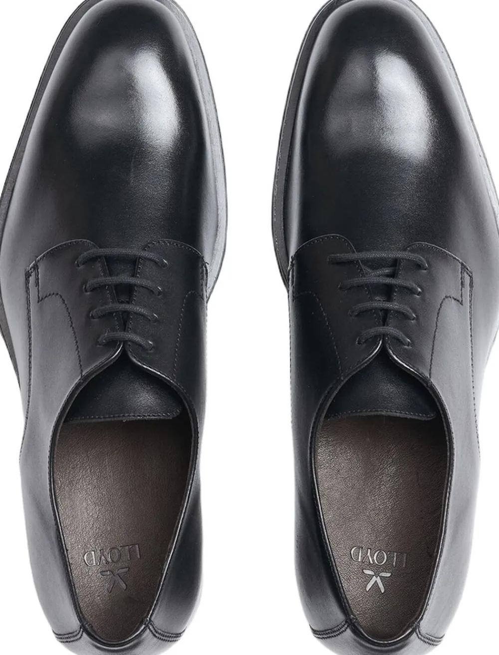 Lloyd CORE PLUS 110 Black Online