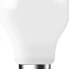 DFTP E27 | A60 | Dim | 2700 Kelvin | 806 Lumen Online