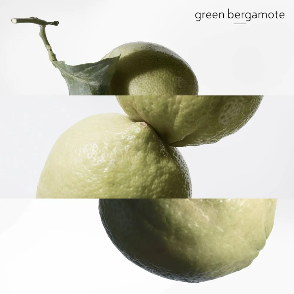 **EAU DE BASILIC POURPRE NATURAL SP>HERMÈS Clearance