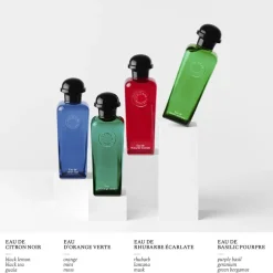 **EAU DE BASILIC POURPRE NATURAL SP><noscript><img width=