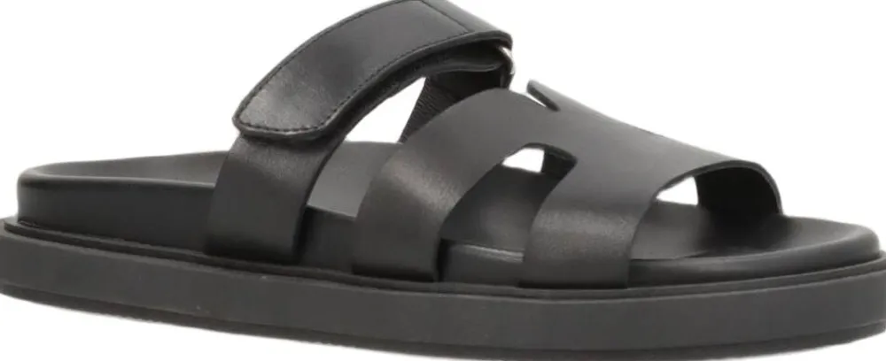 Phenumb Copenhagen ECHO Black Hot