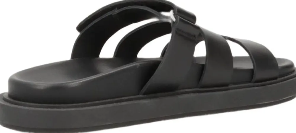 Phenumb Copenhagen ECHO Black Hot