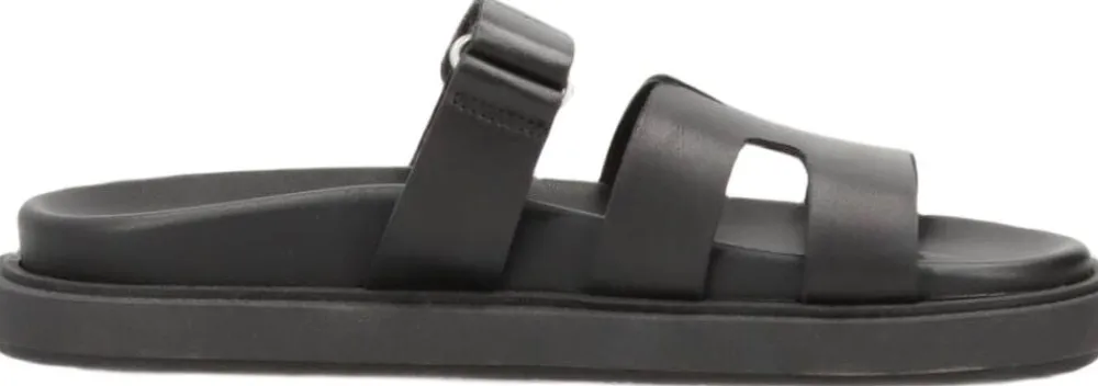 Phenumb Copenhagen ECHO Black Hot