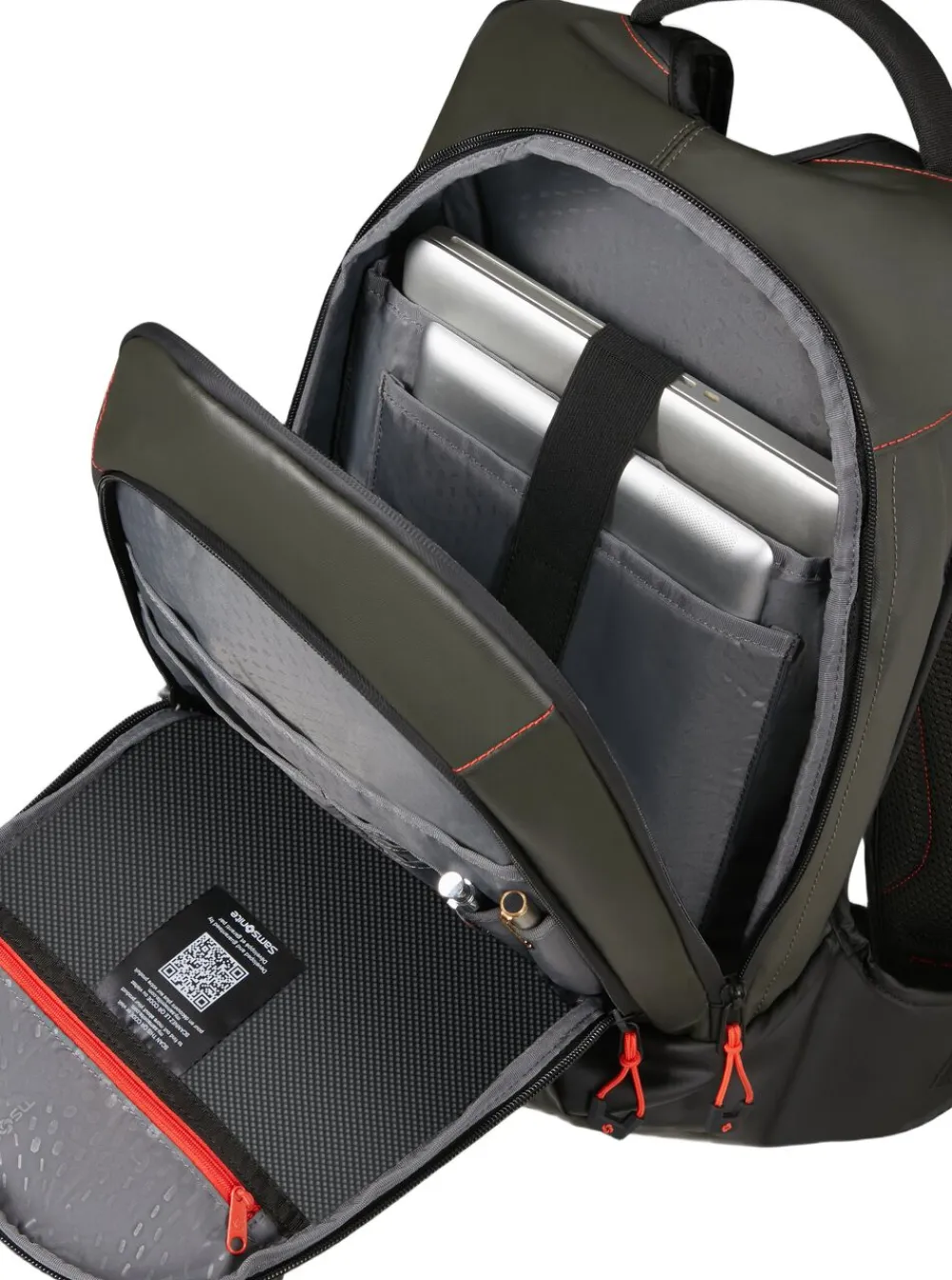 Samsonite Ecodiver Climbing ivy Online