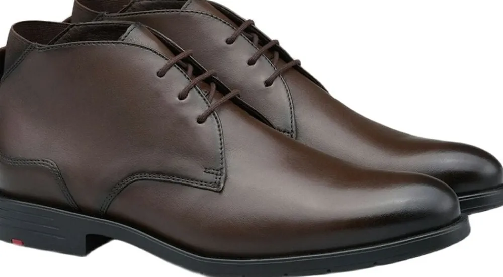 Lloyd EEZY 325 Brown New