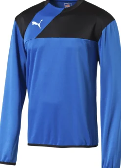Puma Esquadra Sweatshirt Blå Sale