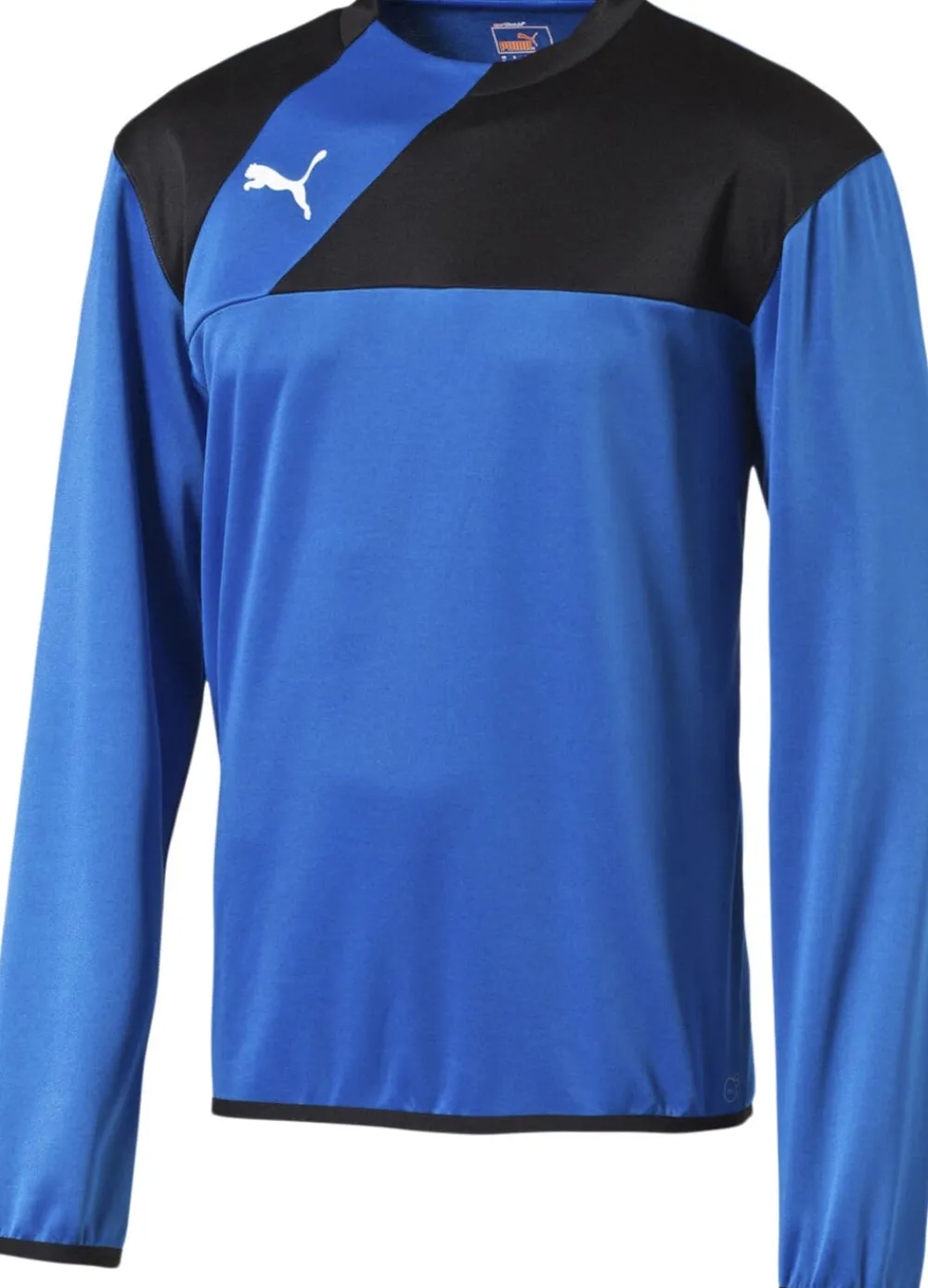 Puma Esquadra Sweatshirt Blå Sale
