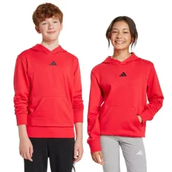 Essentials Hættetrøje>adidas Sale