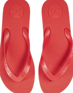 H2O Flip Flop