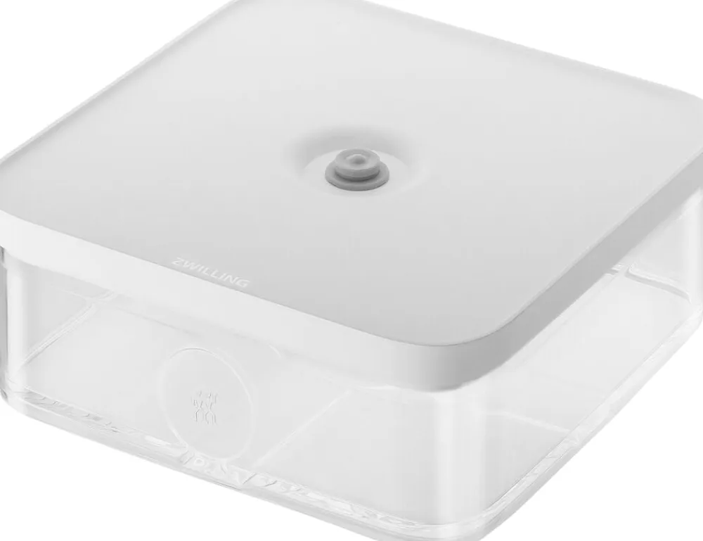 Fresh & Save CUBE Beholder L gen-hv>Zwilling Sale
