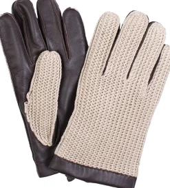 Gloves><noscript><img width=