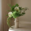 Grassy Green>Botané Outlet
