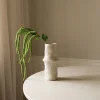 Botané Green Three Forks Amaranthus Flower