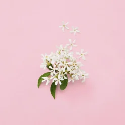 Gucci Flora Gorgeous Gardenia Eau de parfum