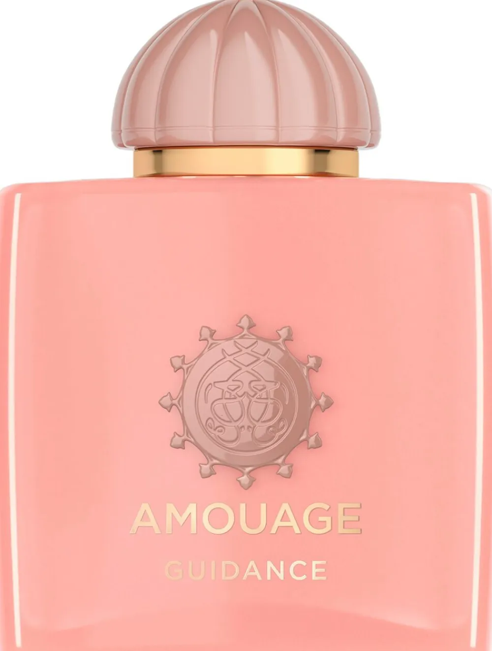 Guidance Woman - Edp 100ml>Amouage Discount