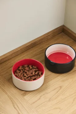 Dogs Bowl-Small-Red, blue>Hay Clearance