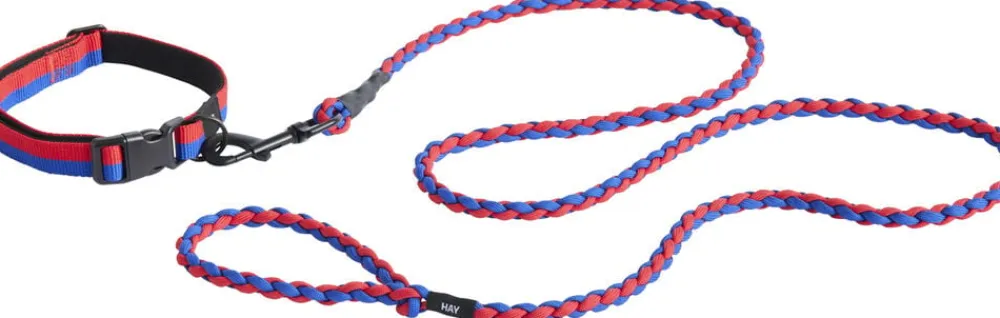 Dogs Leash-Braided-Red, blue>Hay Clearance