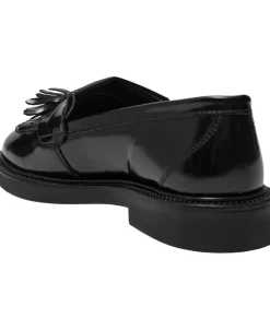 Hidie>Steve Madden