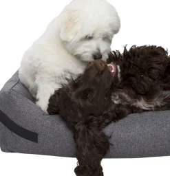 Hundeseng HYGGE Anthracite><noscript><img width=
