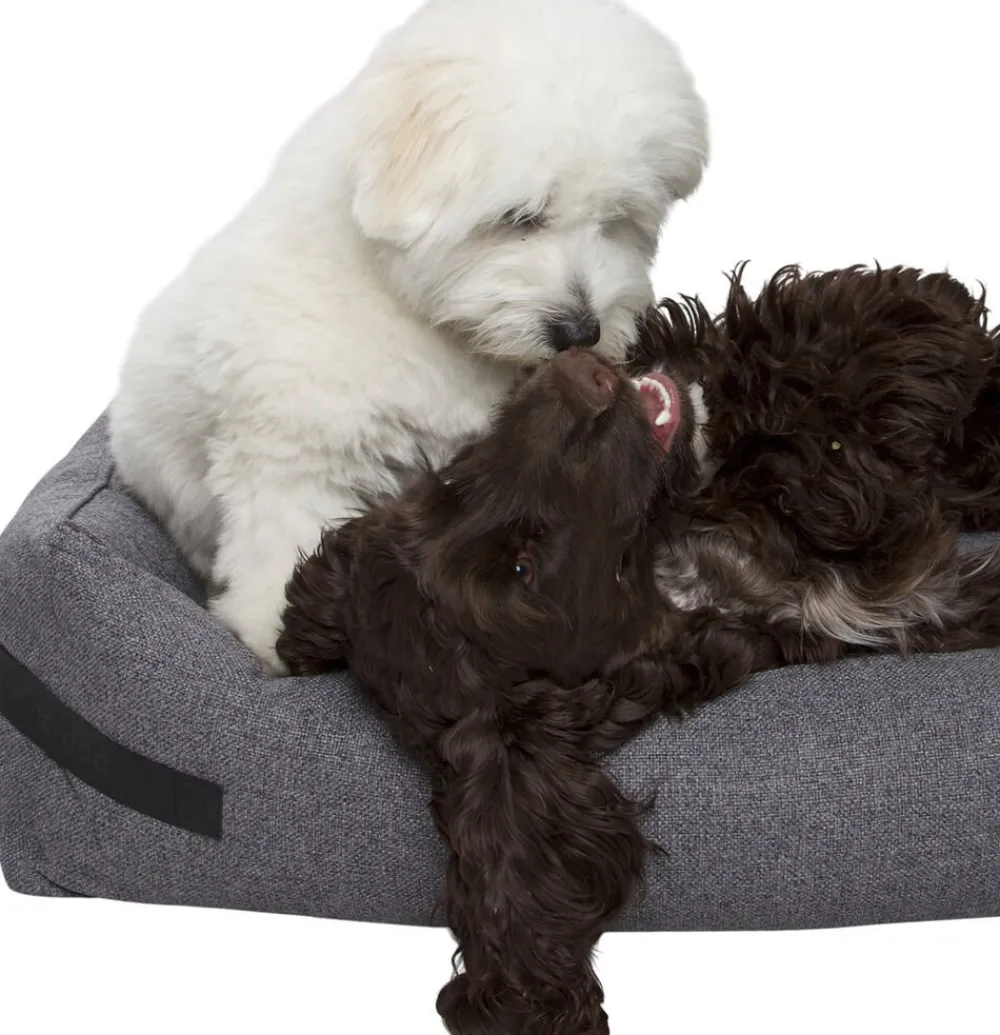 Hundeseng HYGGE Anthracite>Nordog Outlet