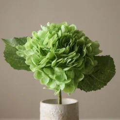 Botané Hydrangea Flower New