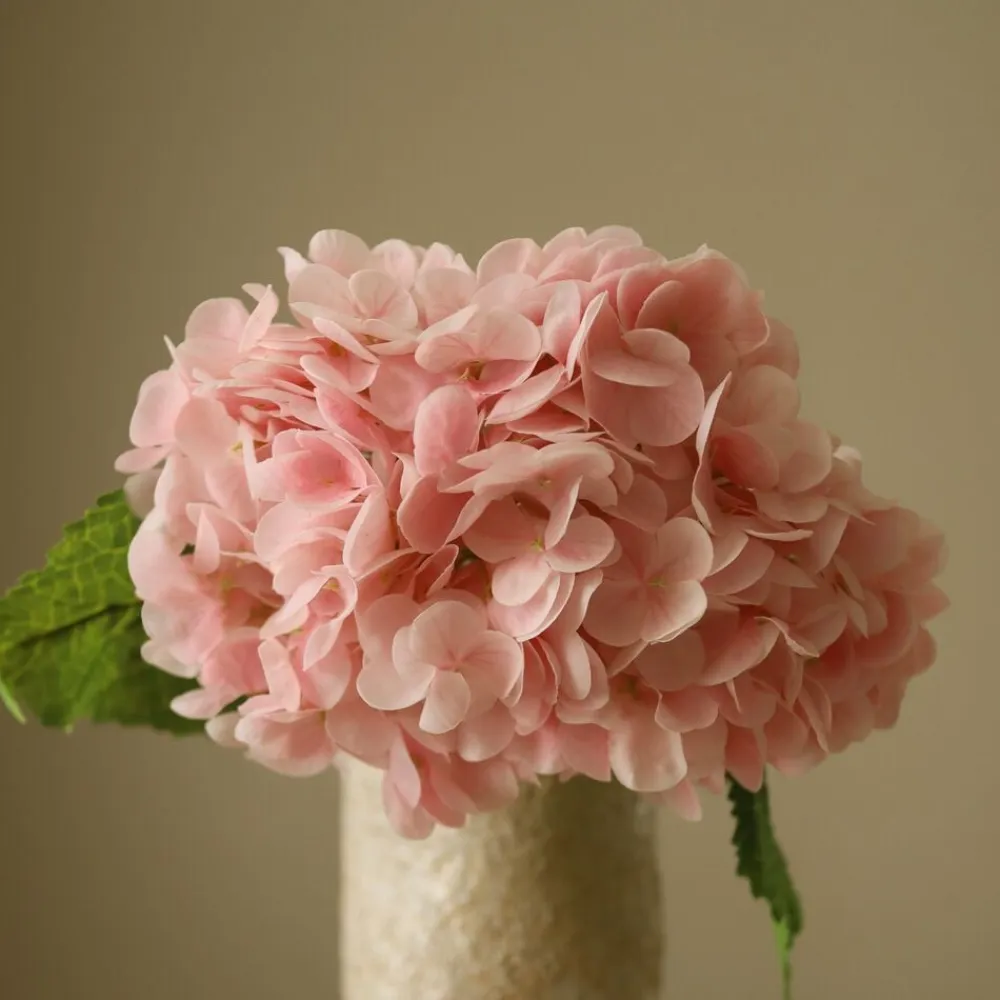 Hydrangea Flower>Botané Online