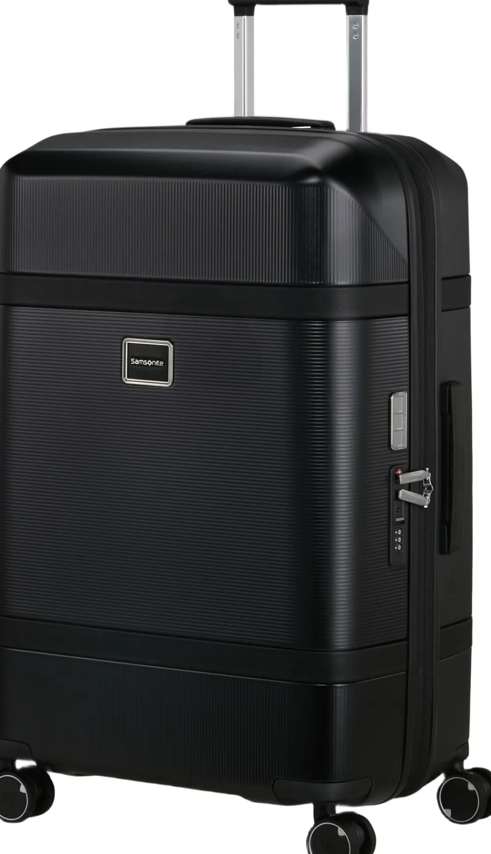 Dame Samsonite Image
