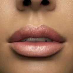 Lancôme L'Absolu Rouge Lipstick 295 0 moi moi moi Sale