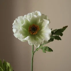 Botané Large Poppy Flower