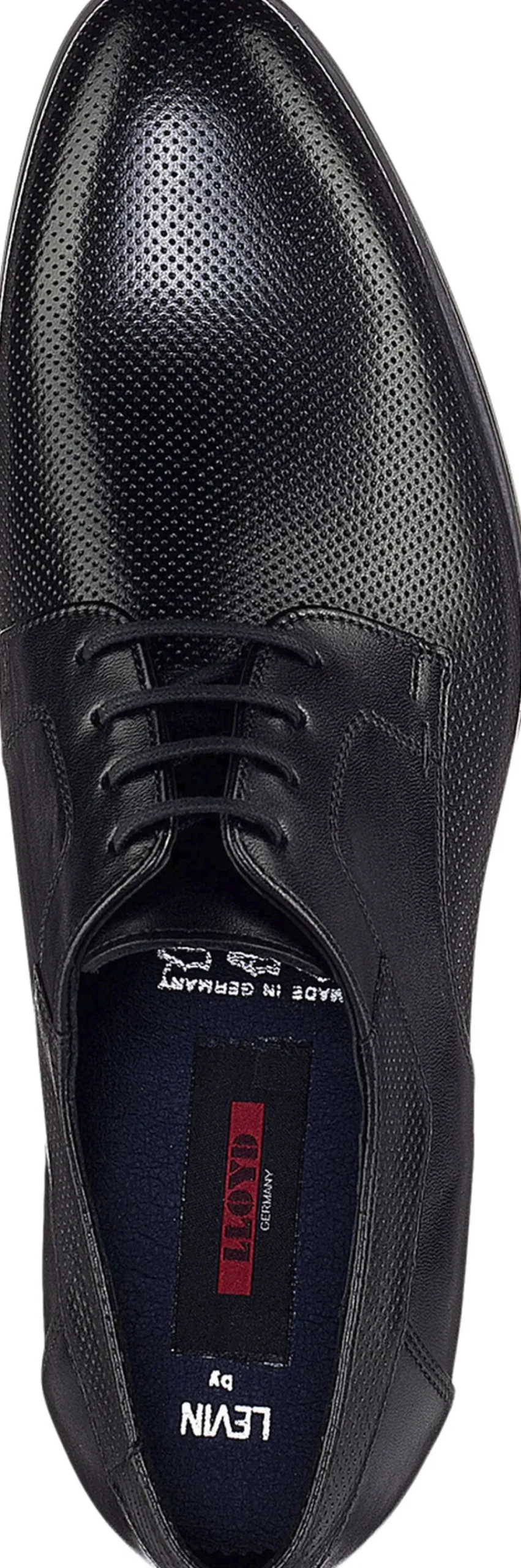 Lloyd LEVIN Black Online