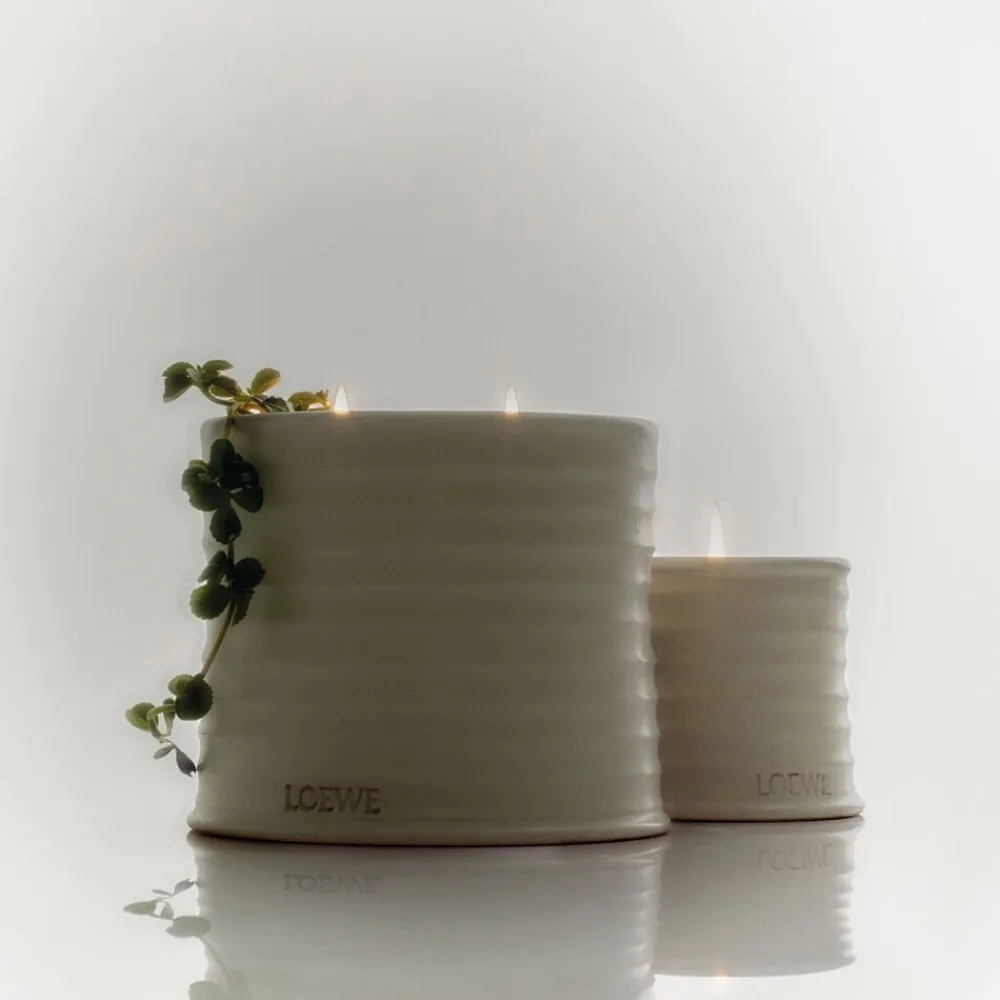 LOEWE Oregano Soap Bar>Loewe Perfumes Outlet