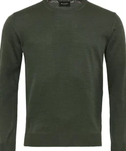 Sand Merino - Iq