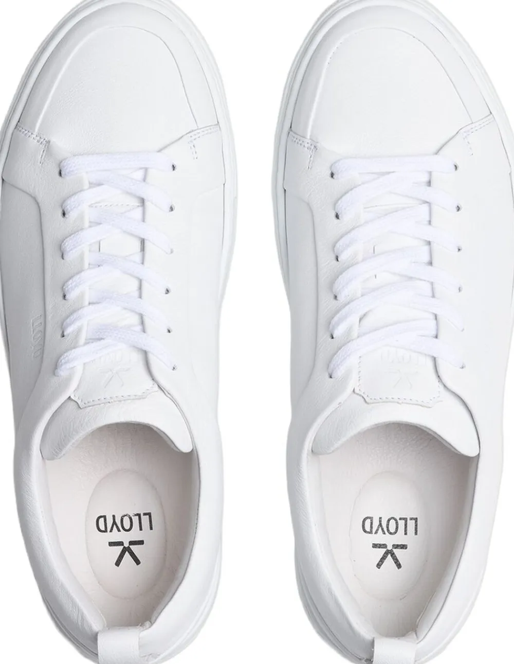 METRO X-MOTION PLUS>Lloyd Online