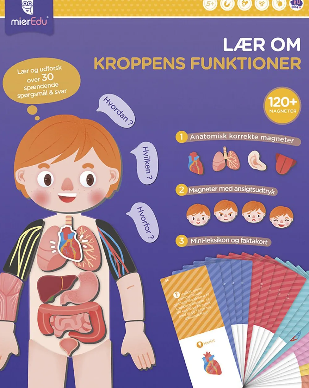mierEdu - Magnetisk legesæt - Lær om kroppens funktioner Hot