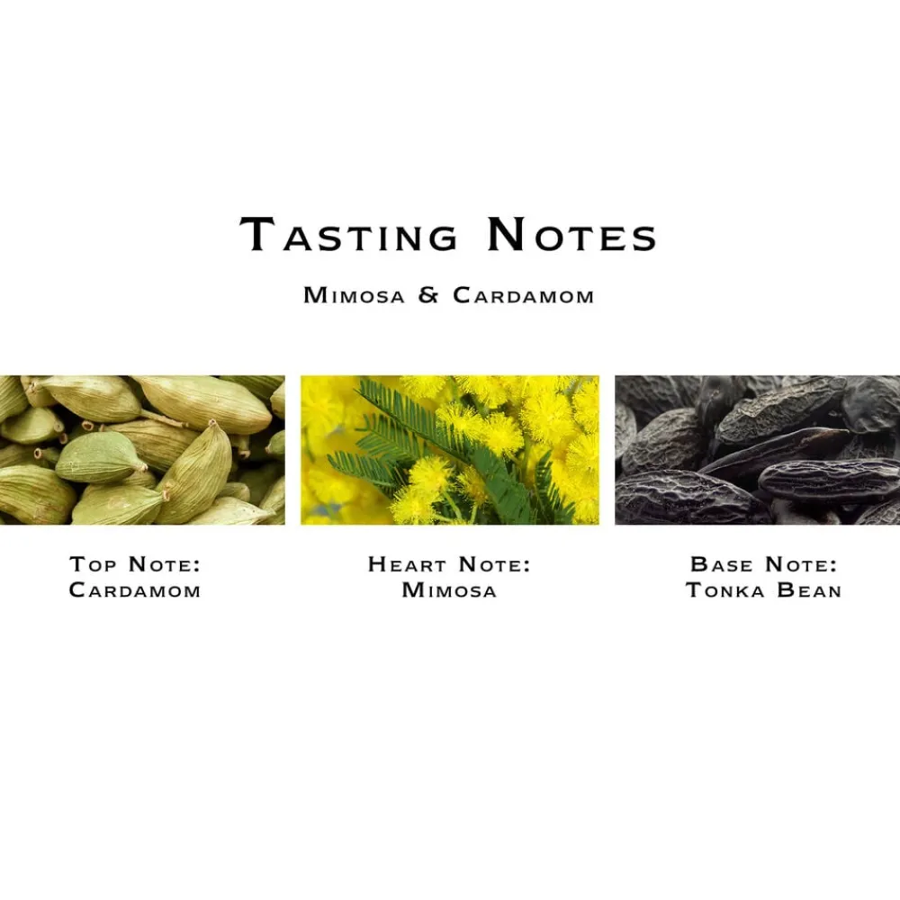 Mimosa & Cardamom Cologne>Jo Malone London Hot