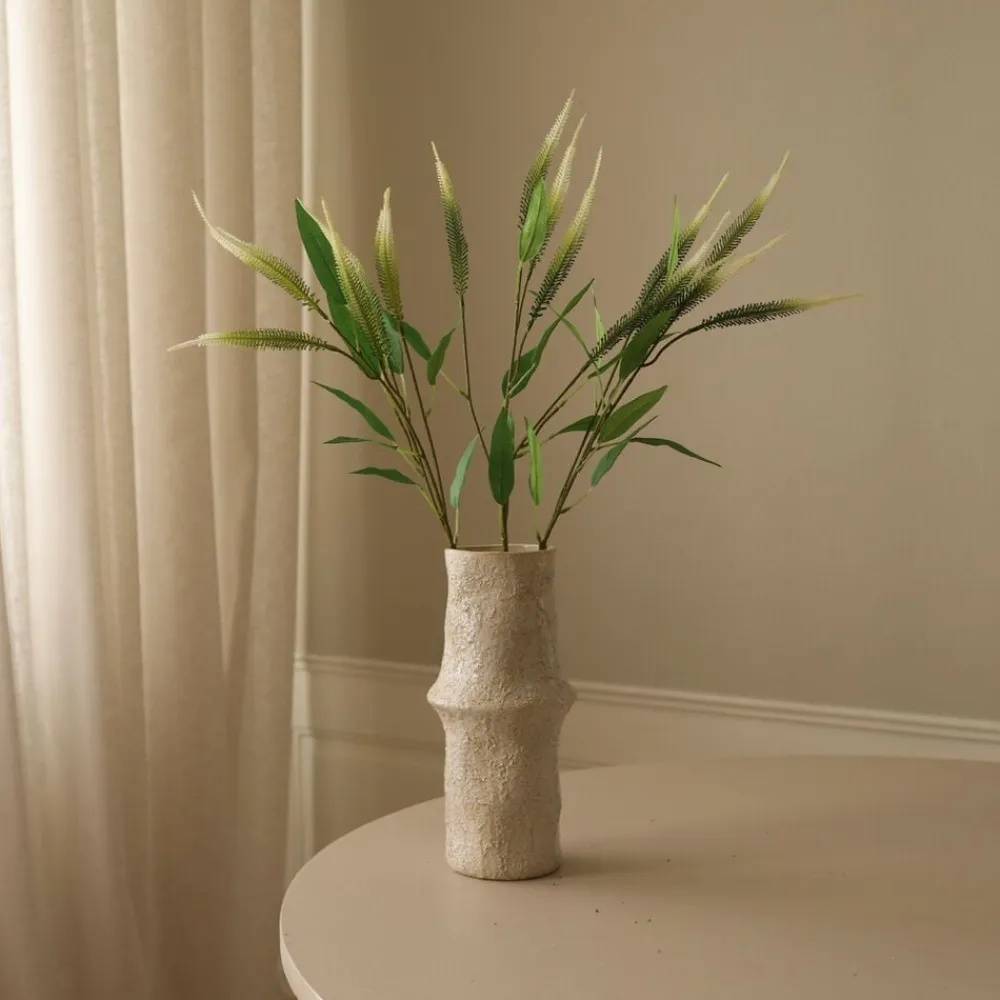 Mini Amaranthus>Botané Online